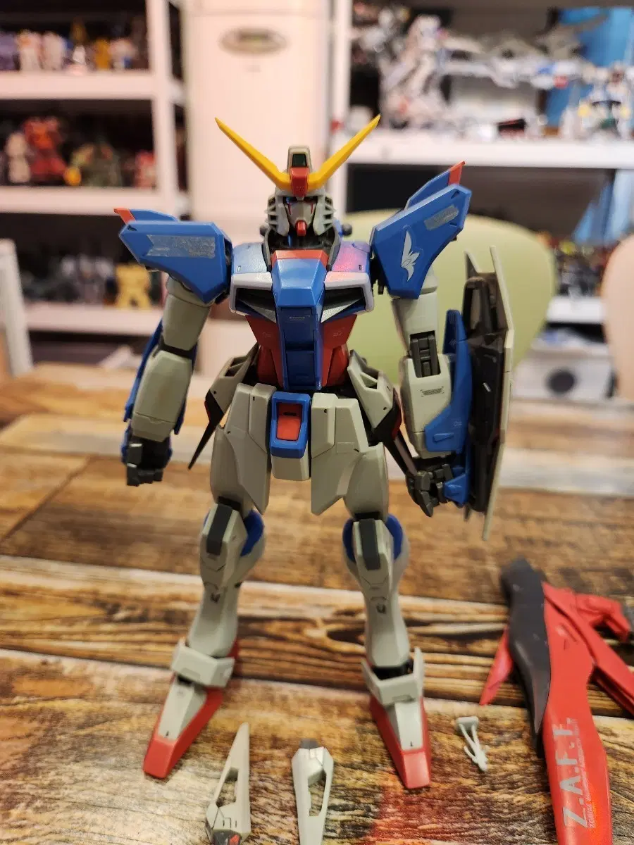 MG 데스티니 건담