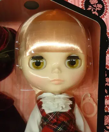 타카라토미 네오 브라이스 스텔라 사바나