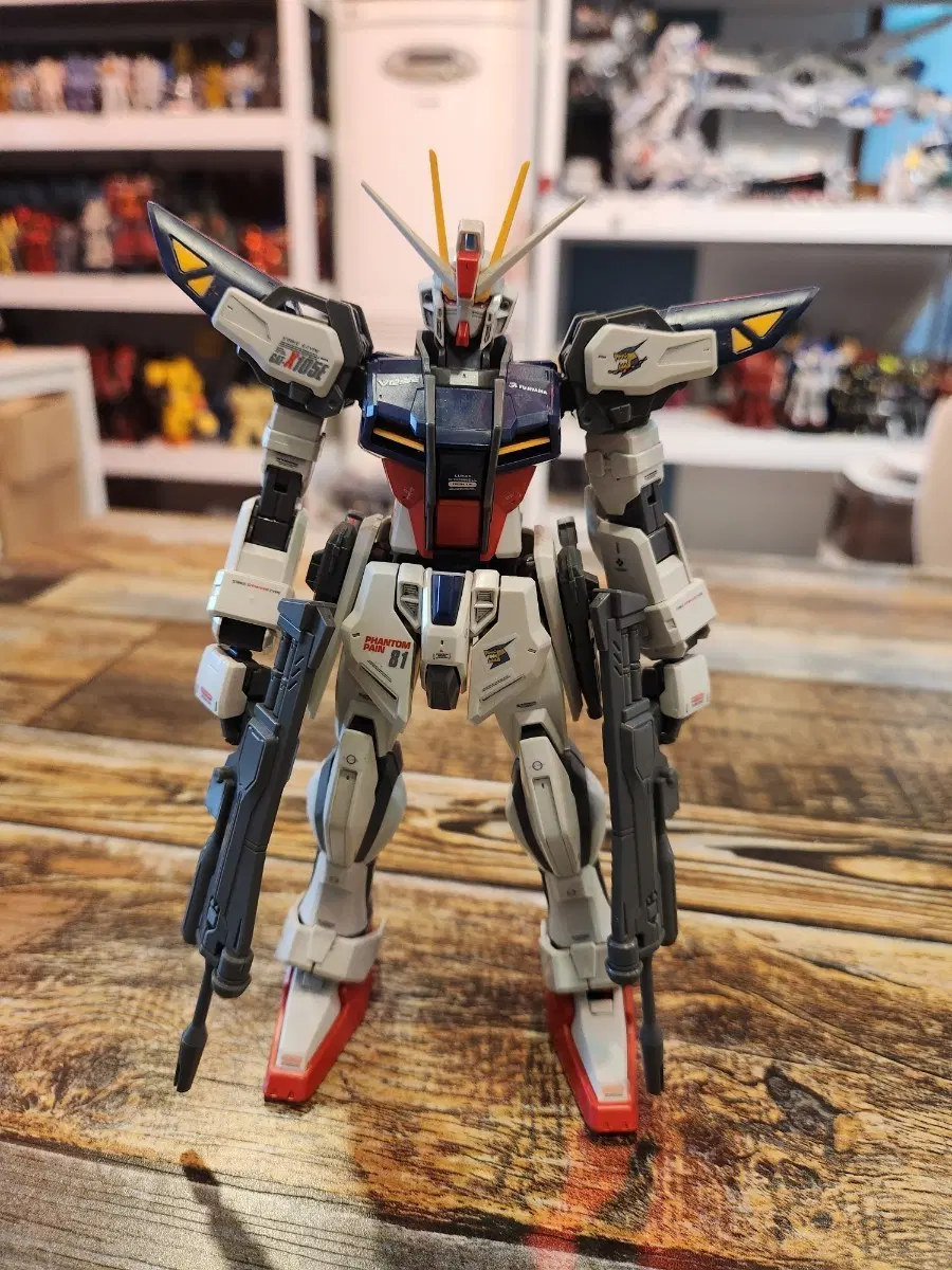 MG 스트라이크 건담