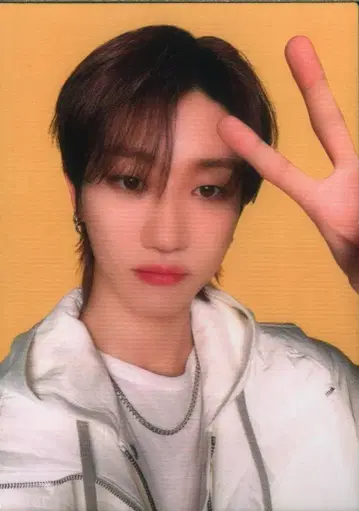 세븐틴 더에잇 2024 팔로우 어게인 투 재팬 99