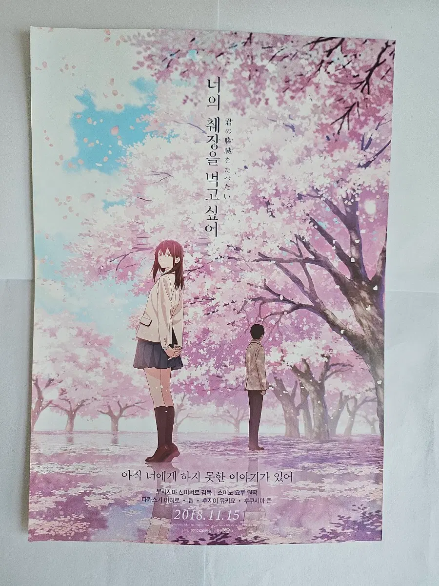 영화 너의 췌장을 먹고 싶어 포스터 / 전단지 / 팜플렛