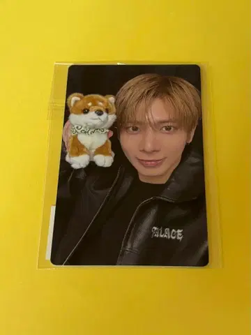 TXT 태현 모아콘 효고 한정판 럭키 드로우 트레이딩 카드