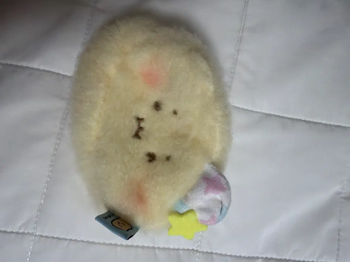 망그러진곰 동전지갑 파우치