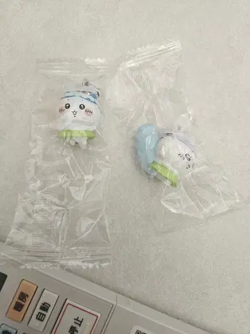 치이카와 영화 메지루시 참 하치와레 모몽가