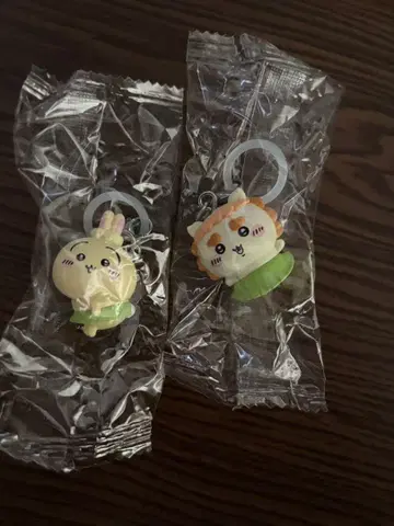 치이카와 메지루시 참