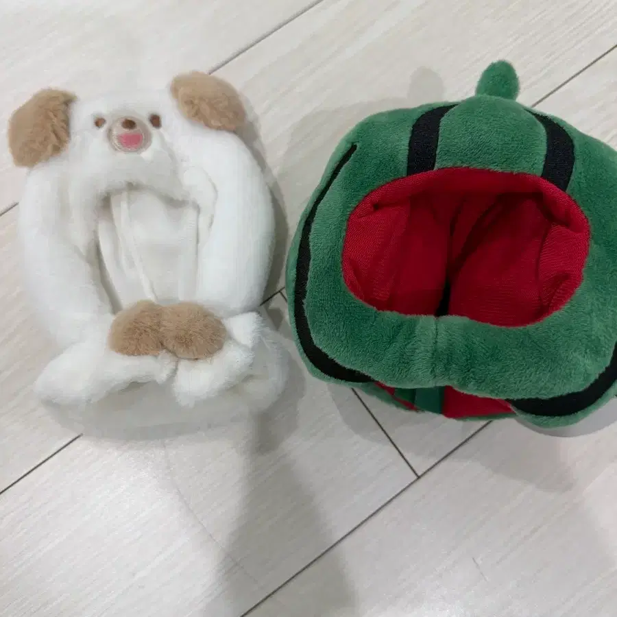 데이식스