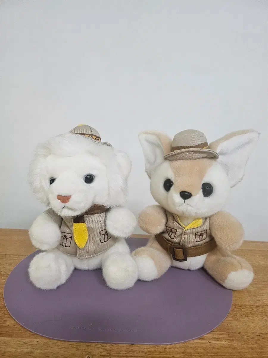 에버랜드 사파리 테아 곰돌이 & 페넥 여우 인형