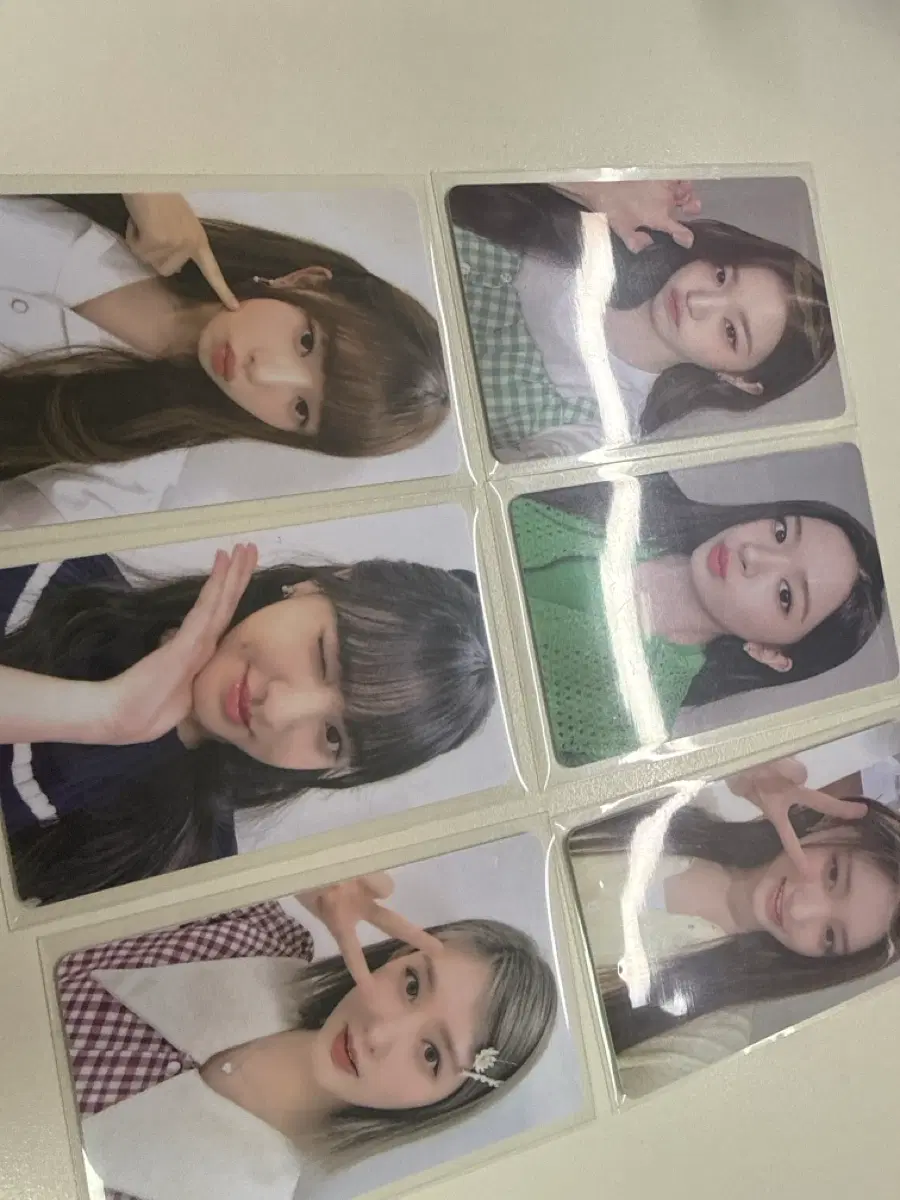 아이브 파파존스 포카