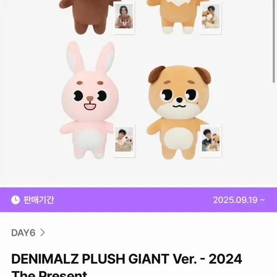 데이식스