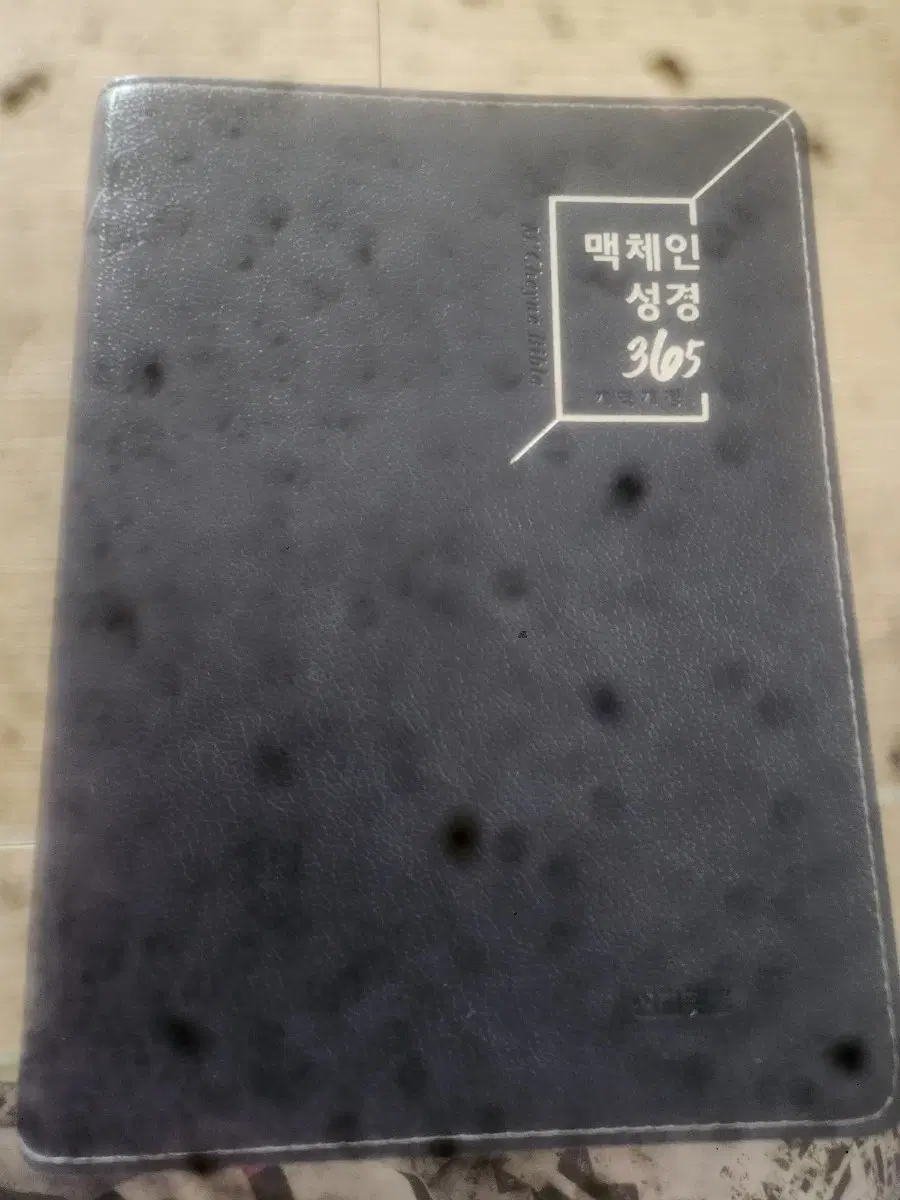 맥체인성경365. 맥체인수업