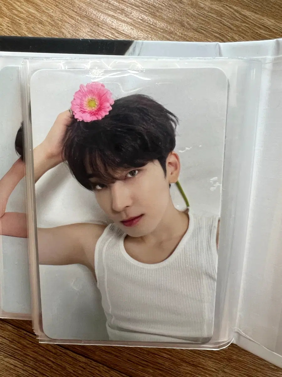 세븐틴 원우 캐럿반 랜포 17 is right here