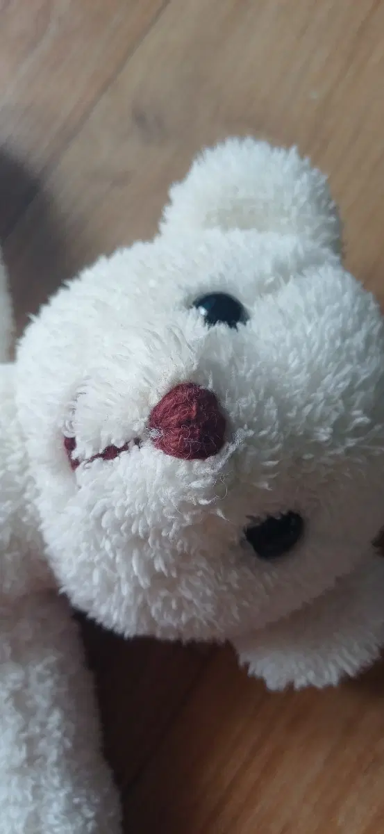 하얀색 곰돌이 인형 털복숭이