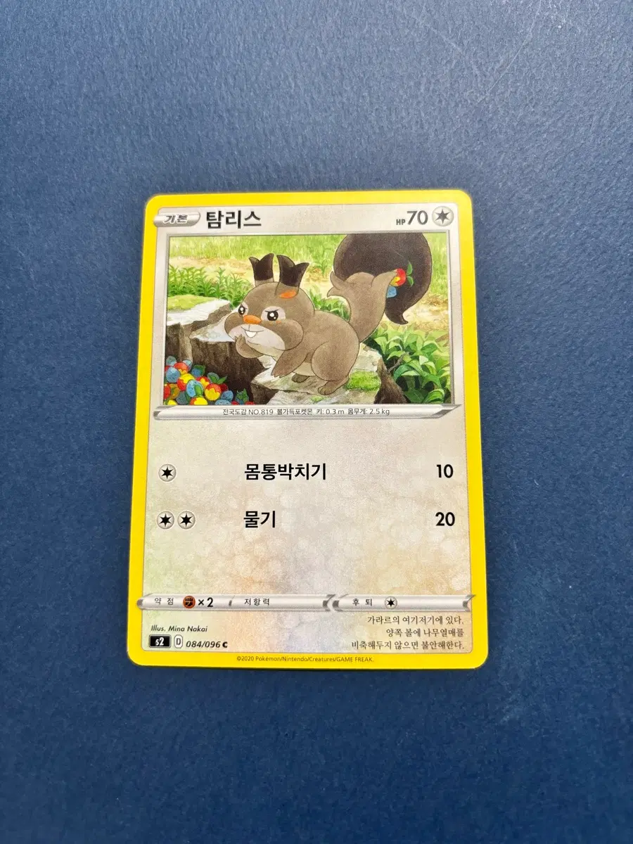 고대 포켓몬카드 탐리스 일반카드 도감용 덱소스 s2 084/096