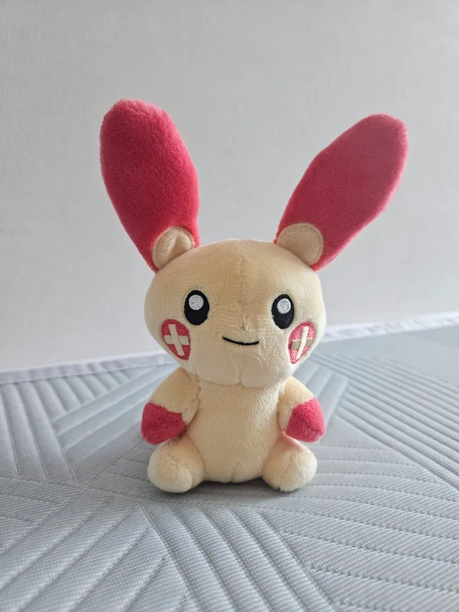포켓몬 플러시 핏 fit 인형