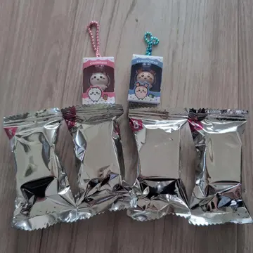 치이카와 마스코트 키링