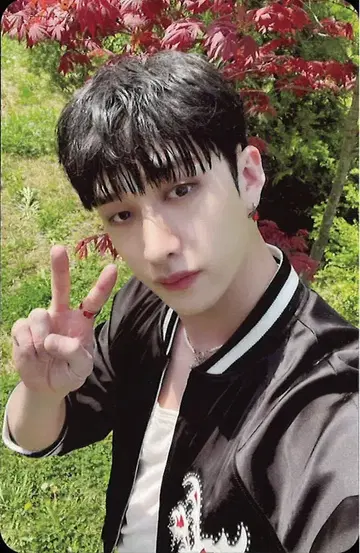 StrayKids MAXIDENT BangChan 트레이딩 카드 핑크