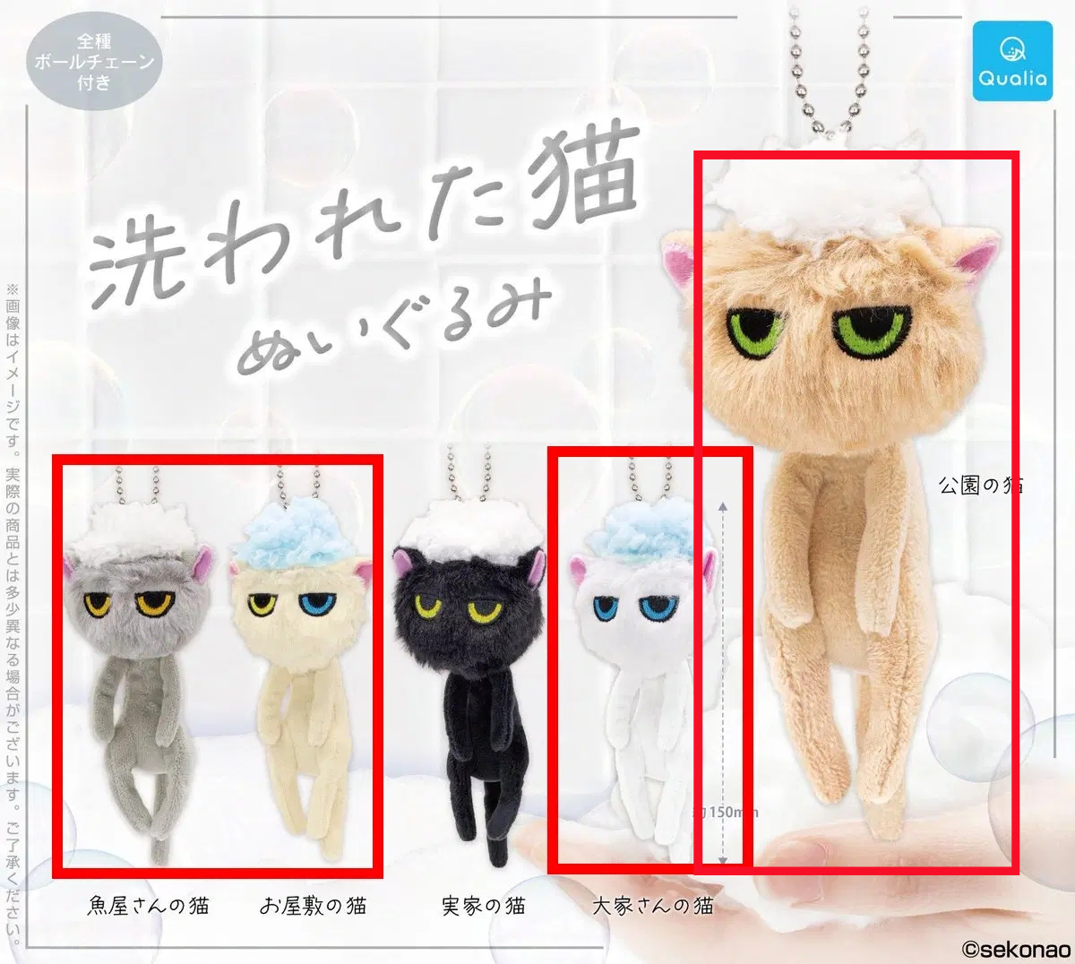 목욕 당한 고양이 갈색, 회색, 오드아이, 흰색 4종