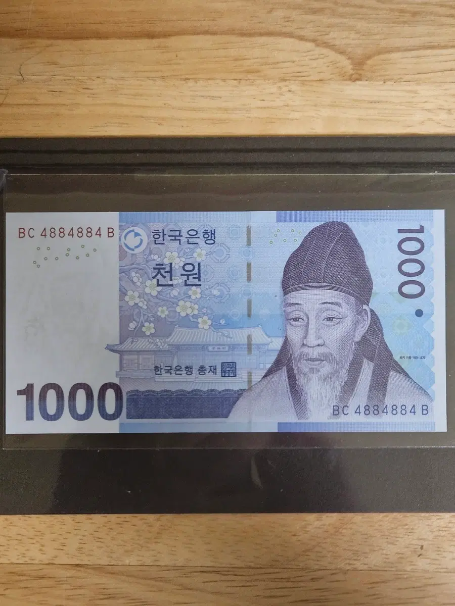 특별특이레이더노트