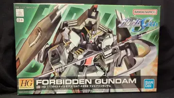 BANDAI SPIRITS HG 1/144 반다이남코판 포비든 건담 마스터 ver R09