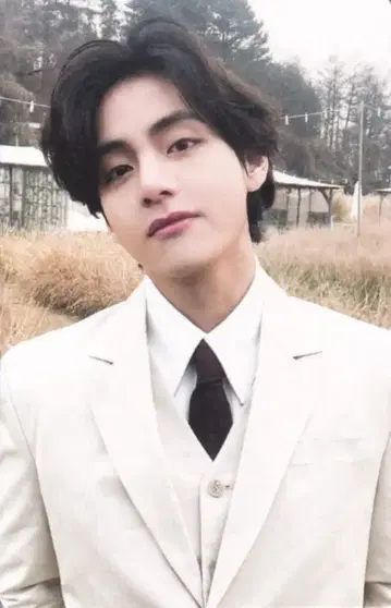 BTS Me,Myself,and V 'Veautiful' V Special 8 Photo-Folio A