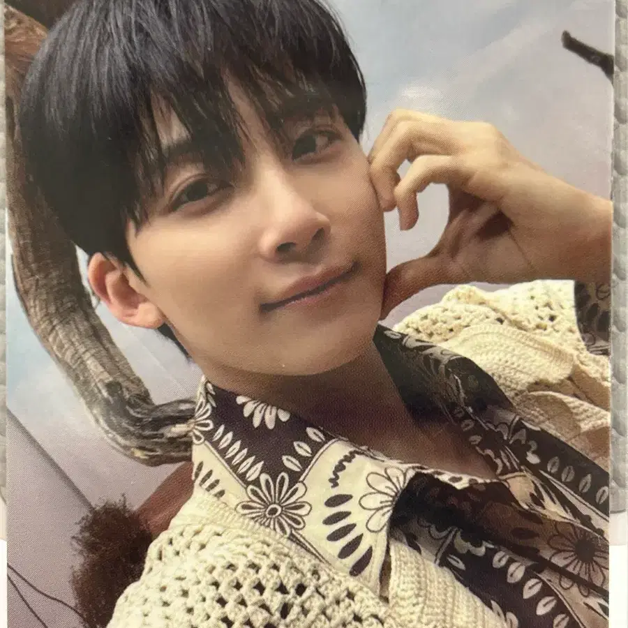 세븐틴 정한 포카