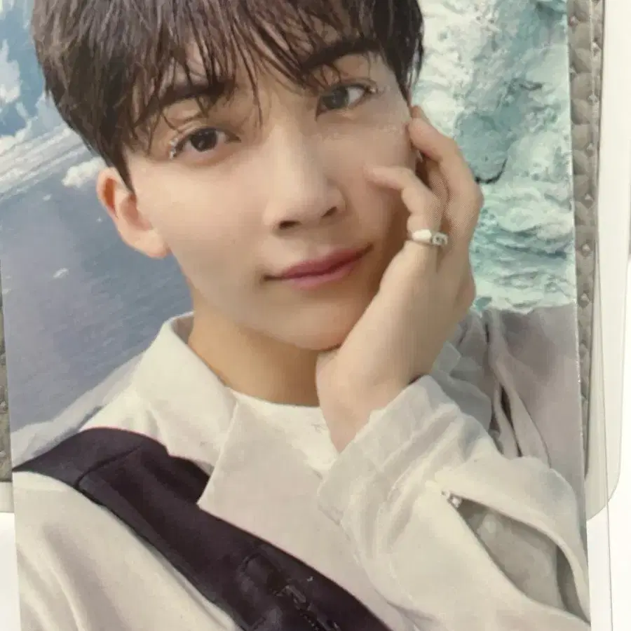 세븐틴 정한 포카