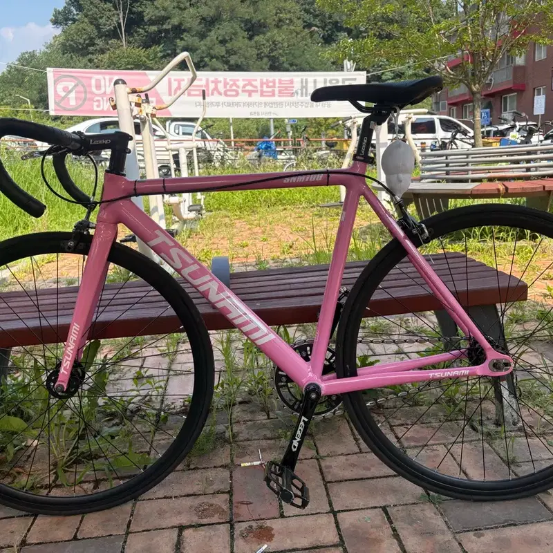 핑쓰 핑크 쓰나미 무하자