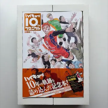 하이큐 10th 크로니클
