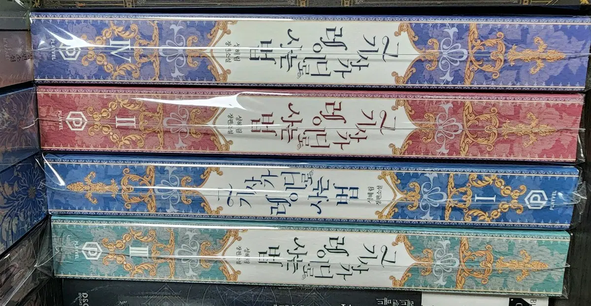 그 기사가 레이디로 사는법