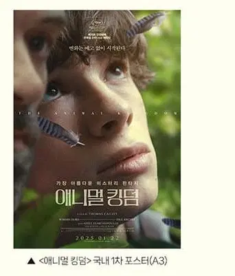 애니멀 킹덤 국내 1차 포스터