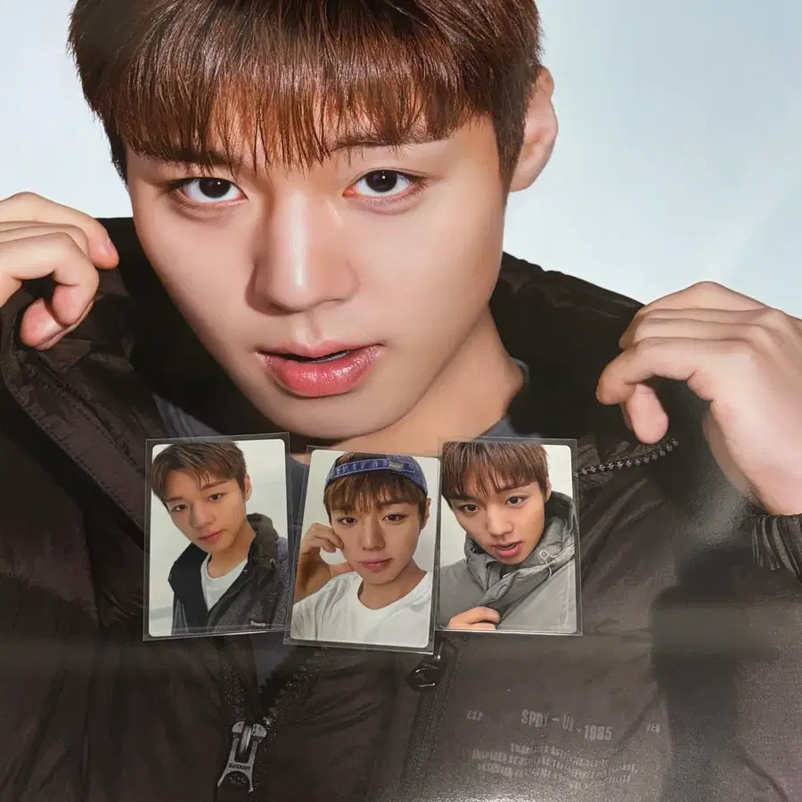 슈퍼드라이 슈드 박지훈 포토카드, 포스터 세트 일괄판매