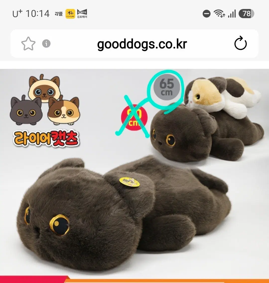 라이어캣츠 65cm 인형 대형