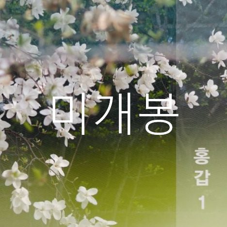 [미개봉] 홍갑 - 1집 / 홍갑 1 (CD)