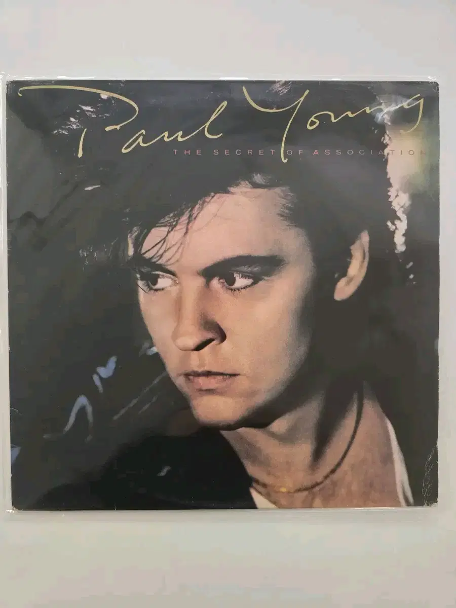 폴 영 LP / Paul Young - The Secret of Association/ EX+