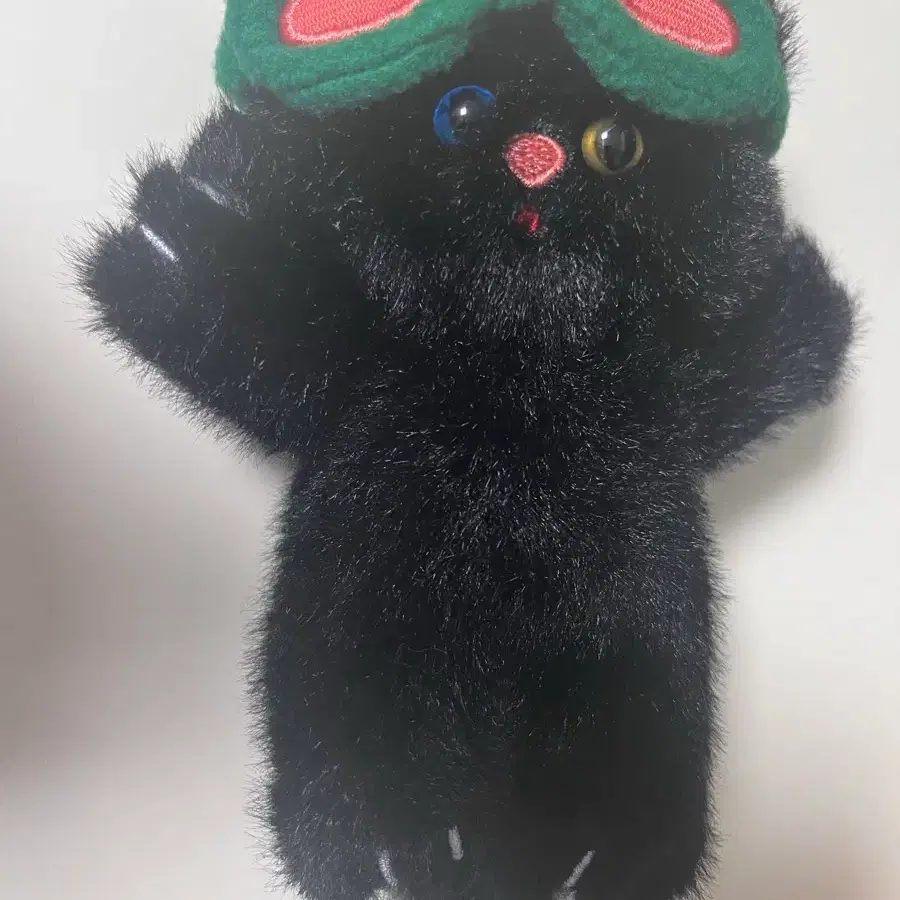 쁘넥도 탯풍이