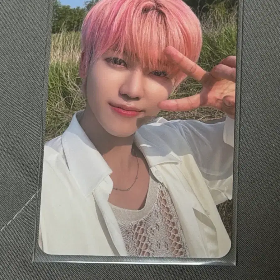 NCT DREAM 재민 ISTJ 에버라인