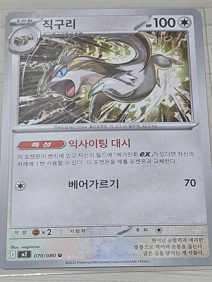 [최저가] 포켓몬 카드 직구리