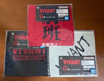 일요일 극장 VIVANT 제일복권 G상 핸드 타월 3개