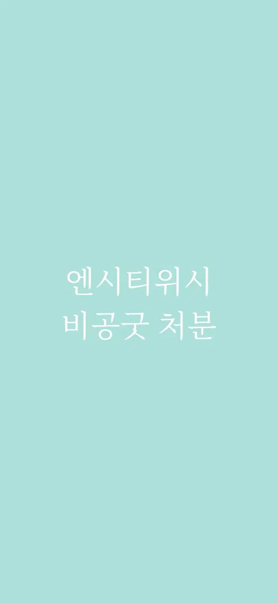 엔시티 위시 비공굿 처분 나눔 (잠시 쉼)