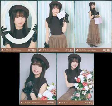노기자카46 WebShop 한정판 모리히라 레이신 2026.Valentine 5장 세트