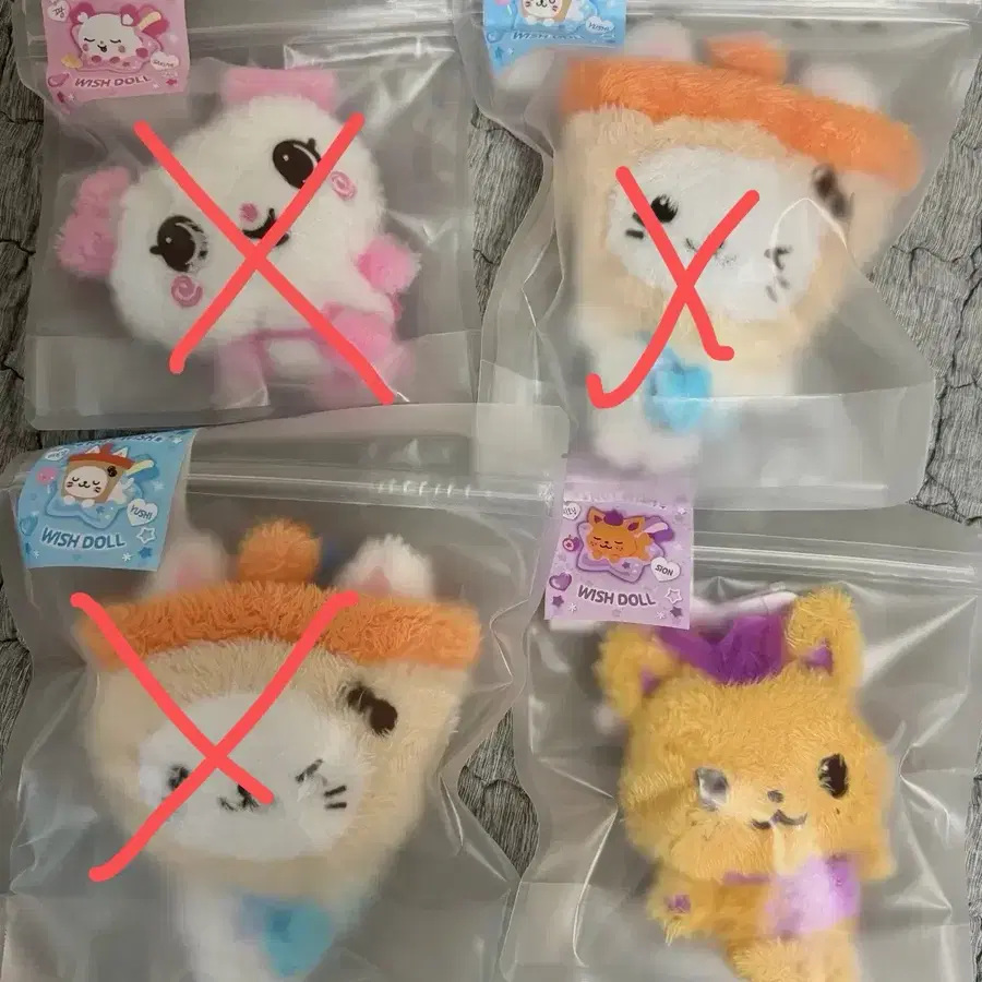 엔시티위시 위시돌 시오닝 버블냥 팡이