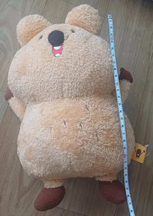 인형 뚱뚱한 쿼카 뚱카 애착인형