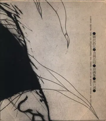 미사와 마사히로/요시오카 히로아키 시화집 블랙 레이크