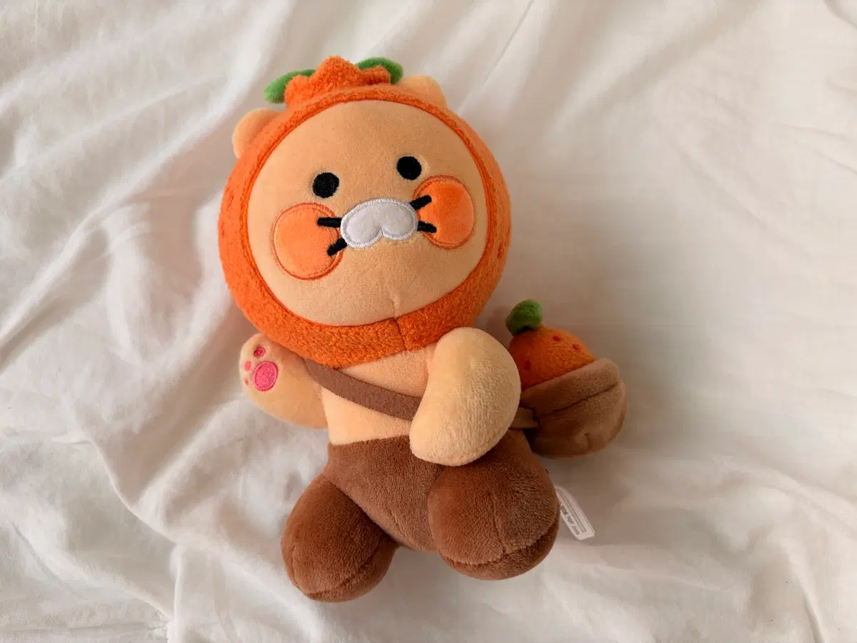 카카오프렌즈 감귤 춘식이 인형(제주 한정판)