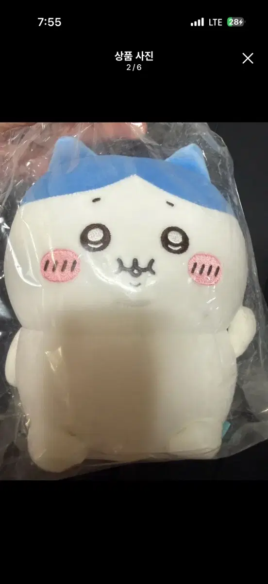 치이카와 하치와레 덜뚱띠