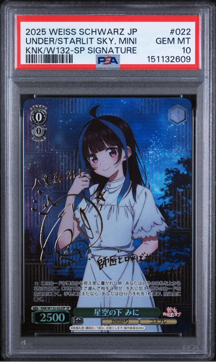 바이스슈발츠 렌탈여친 미니 psa10