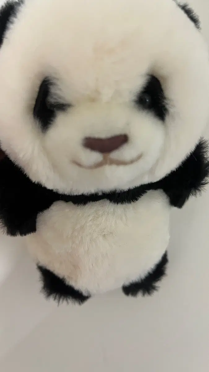 에버랜드 판다인형