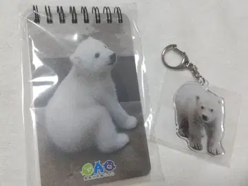 모모타 메모장 & 아크릴 키링 북극곰 오가 수족관GAO
