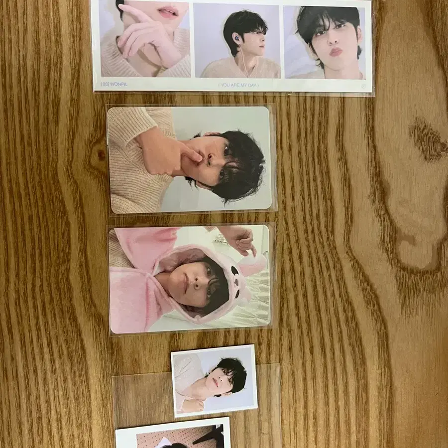 데이식스 6기 키트