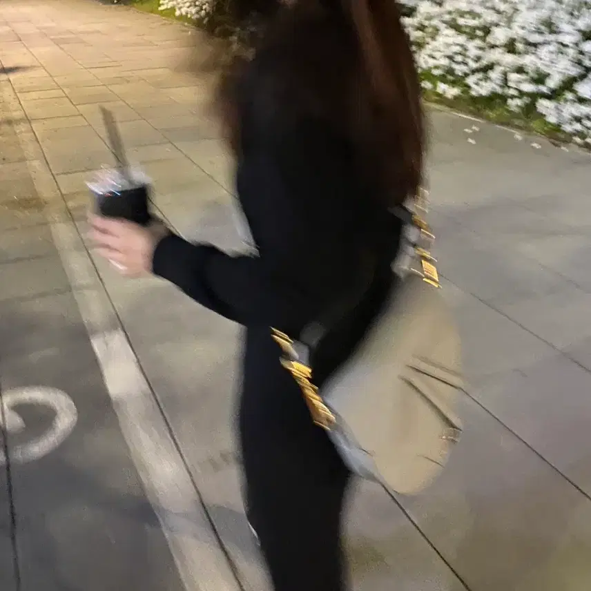 디올 새들백 + 스트랩 사진 2